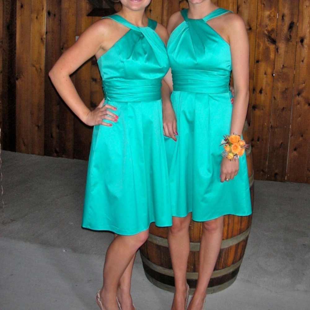 David’s Bridal bridesmaid dress 83690